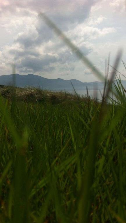 The Shores Country House Bed and Breakfast Dingle Esterno foto