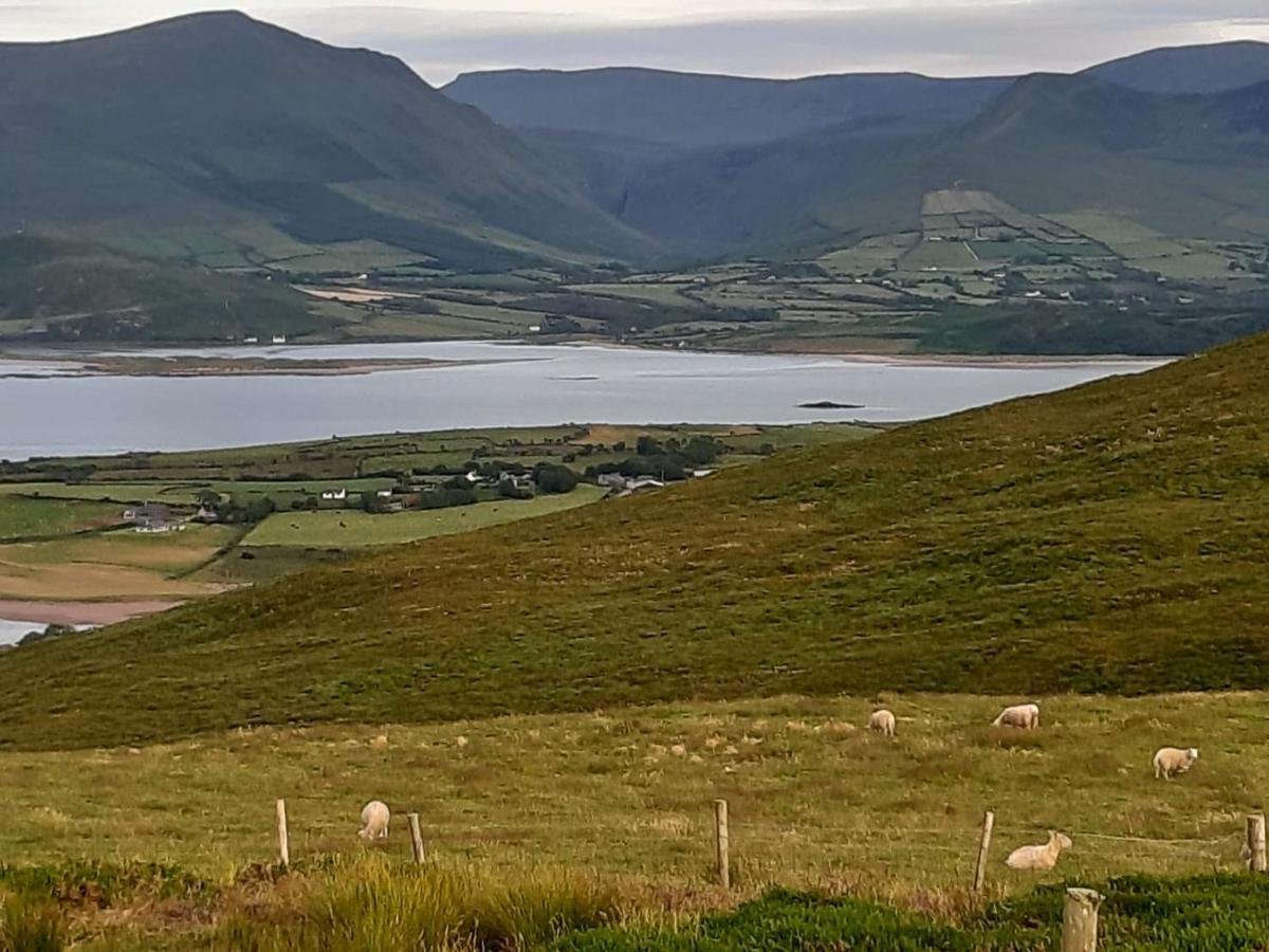 The Shores Country House Bed and Breakfast Dingle Esterno foto