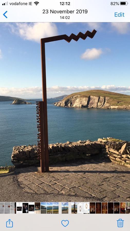 The Shores Country House Castlegregory Esterno foto